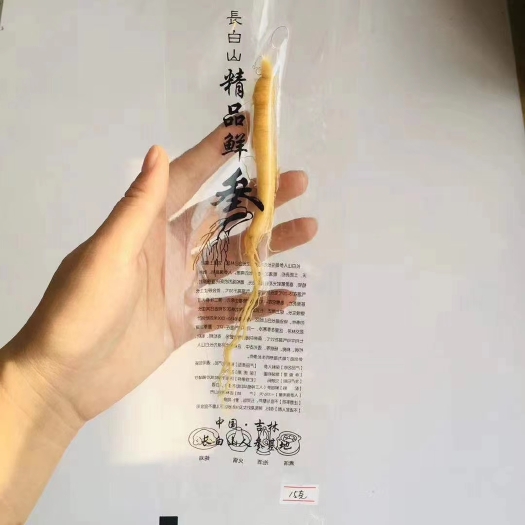 宽甸县园参  保鲜参新鲜长白山人叁白参泡酒煲汤鲜大人参整支全重15