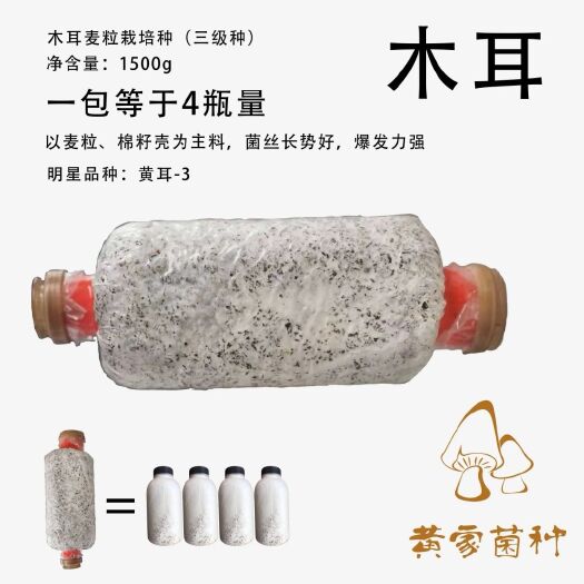遵义木耳菌种 黄耳3号