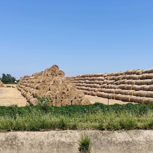 利辛县大量秸秆出售小麦