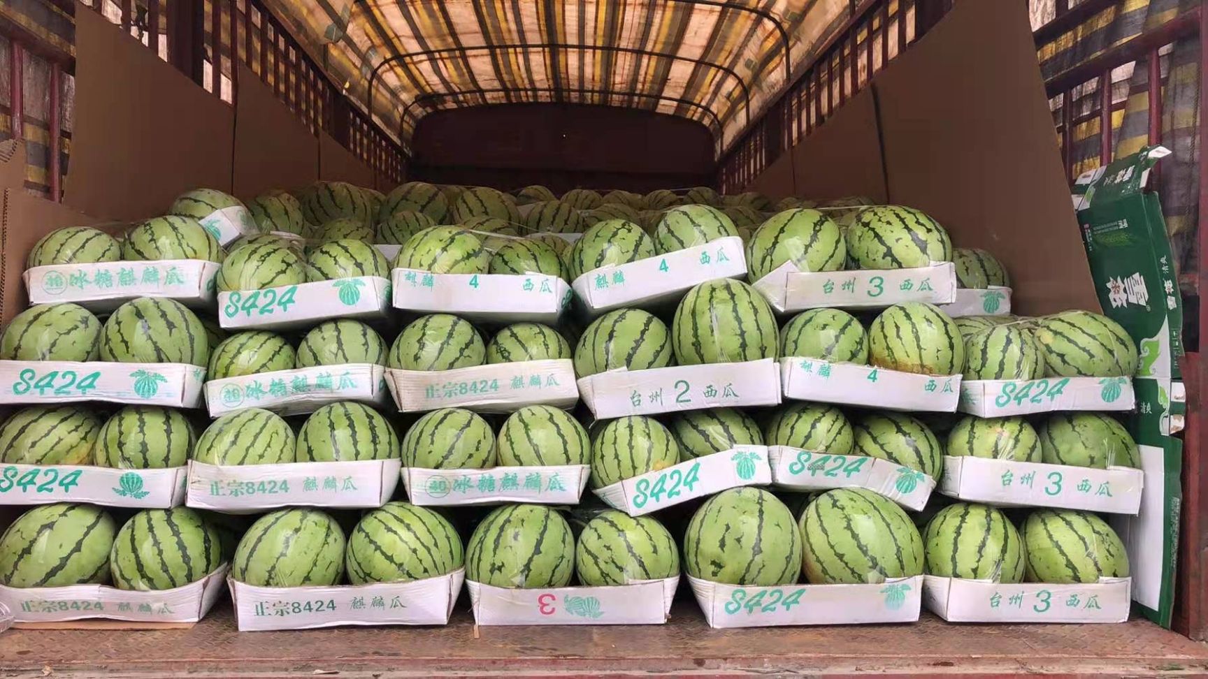 美都西瓜  美都上市，香甜可口，质量保证，欢迎订购。