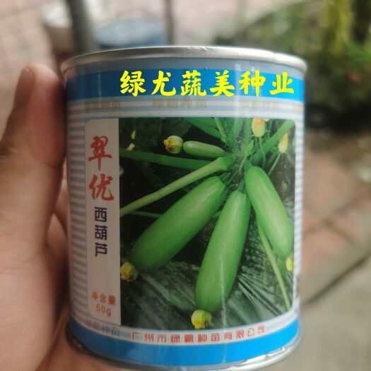 南靖县绿皮西葫芦种子  春秋早熟杂交西葫芦，翠绿色