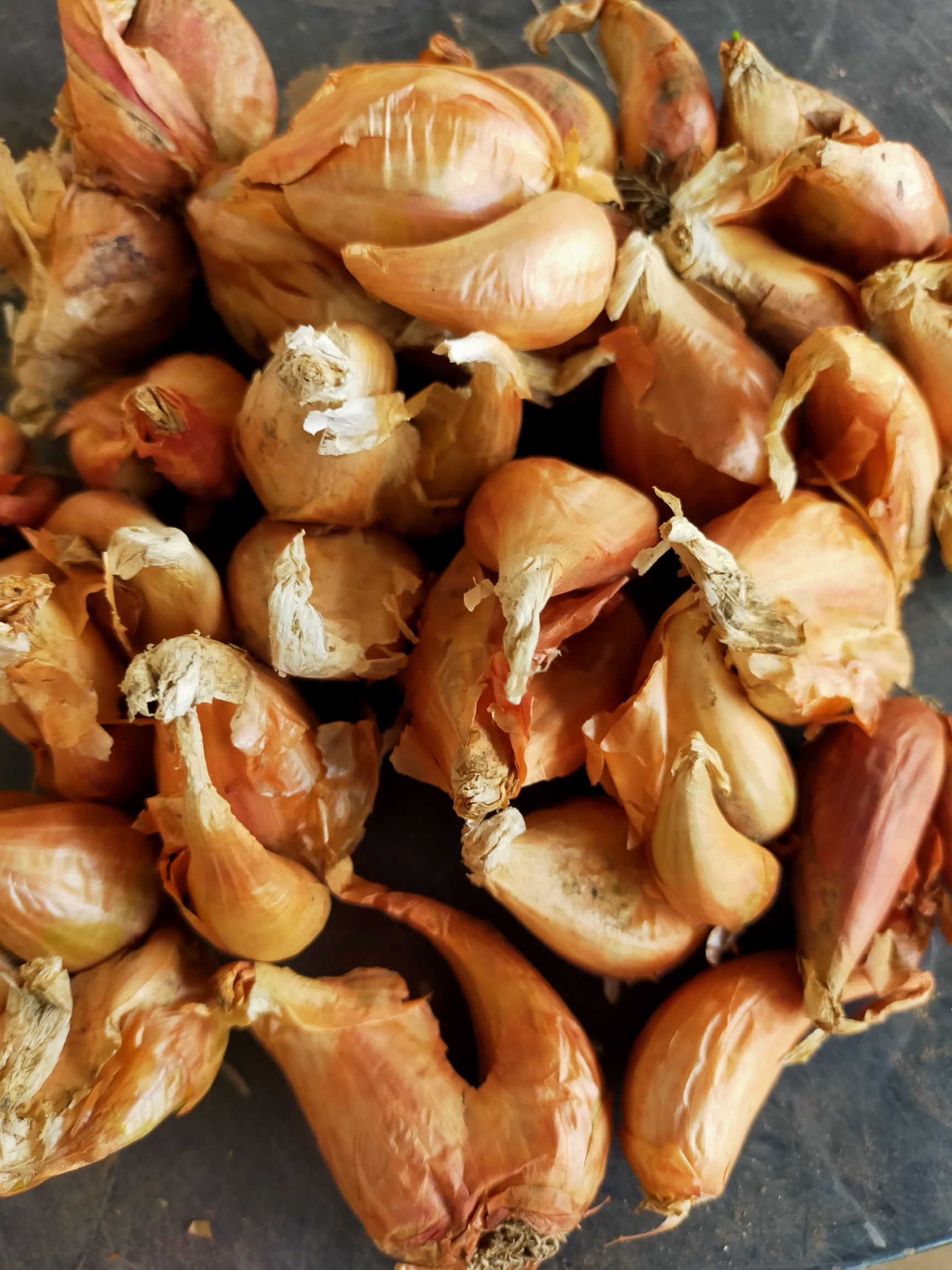 火葱，红皮葱黄皮葱香葱，葱种葱头铁杆葱四季香葱头，质量好，