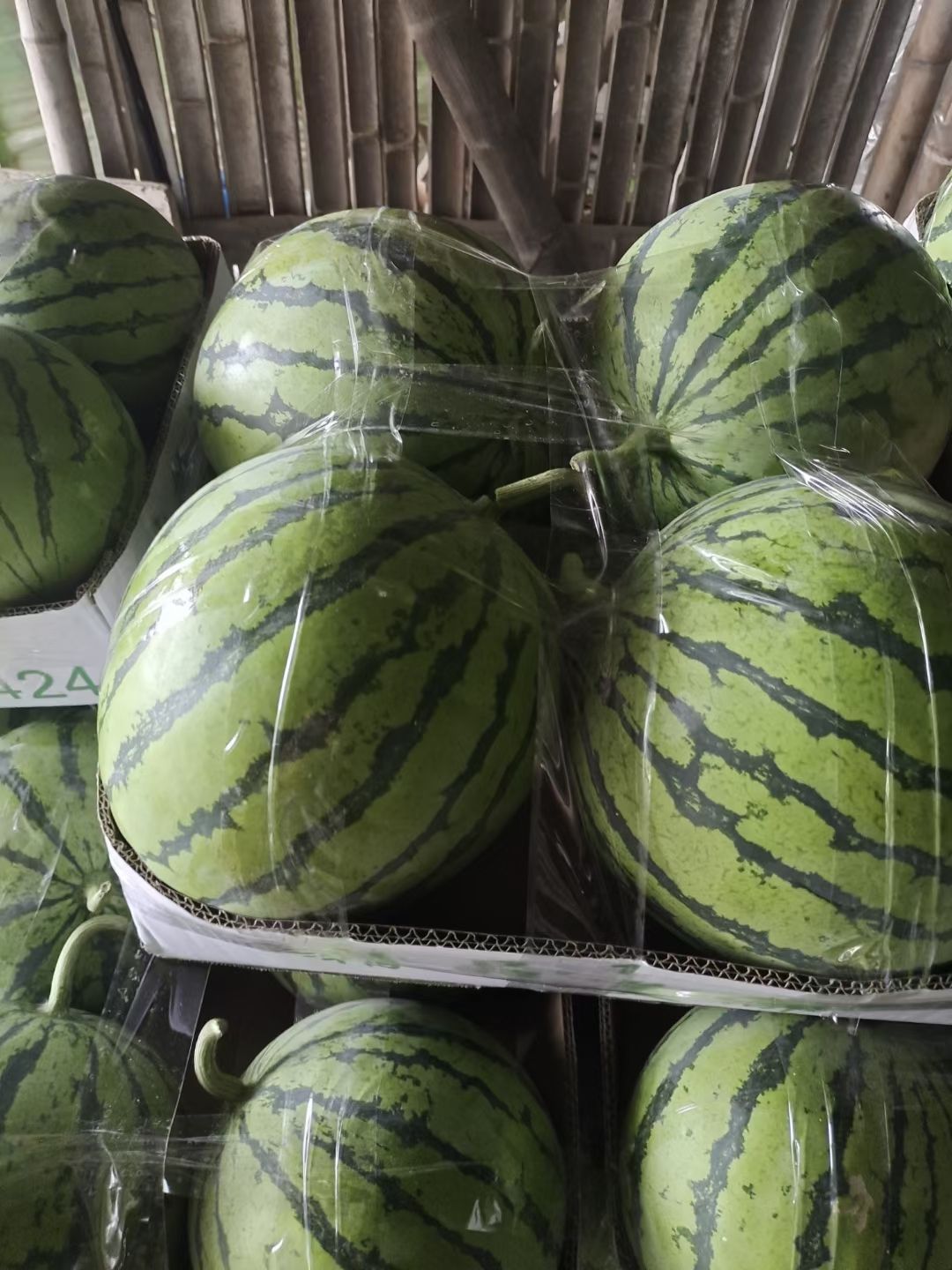 麒麟西瓜  精品麒麟瓜，瓜好味甜，支持全国出售。