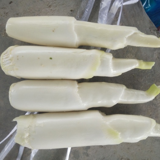 惠水县茭白  贵州高山美人茭