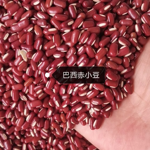 赤小豆大粒/小粒50斤装做各种食品加工
