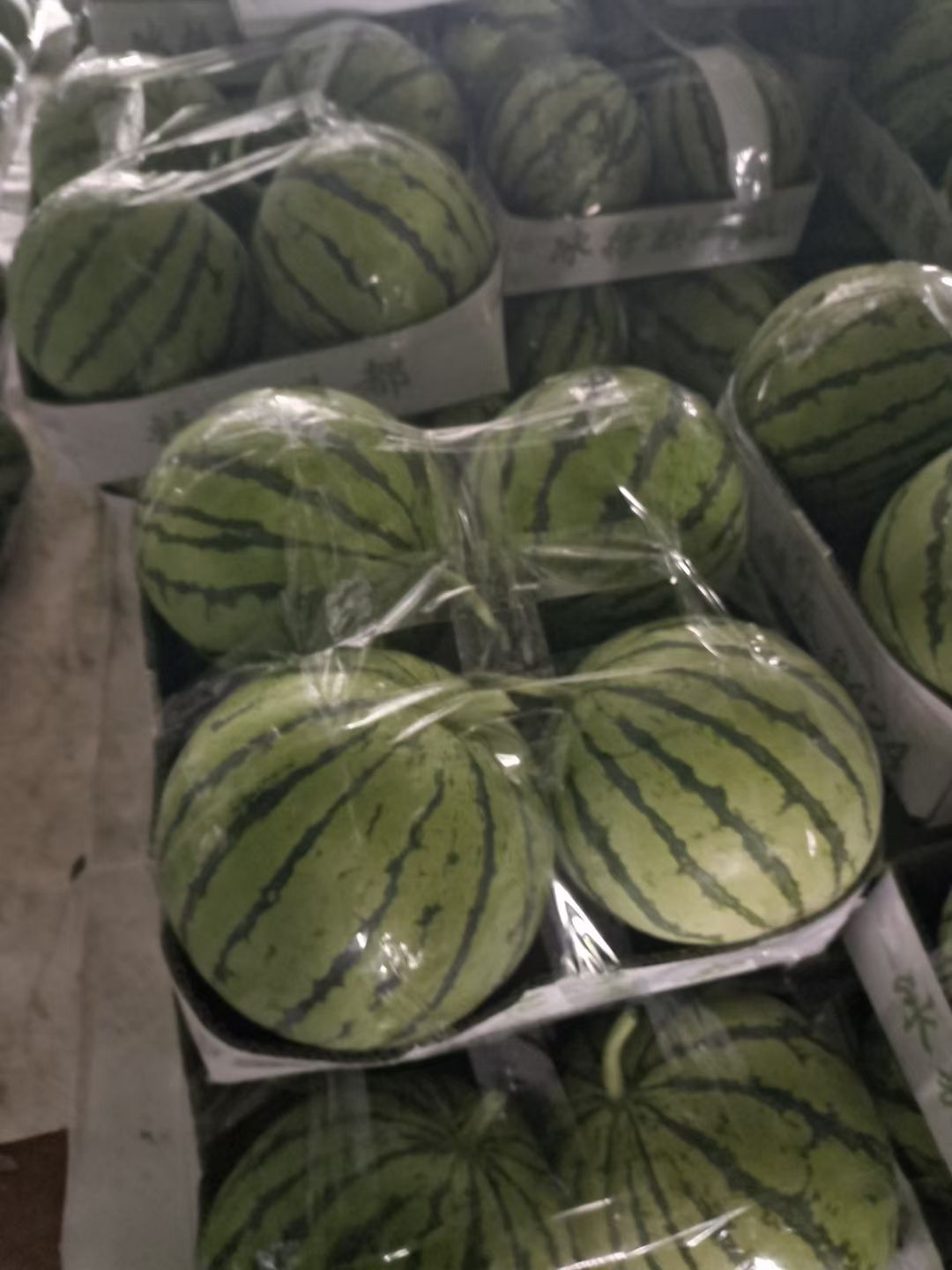 麒麟西瓜  精品麒麟瓜，瓜好味甜，支持全国出售。
