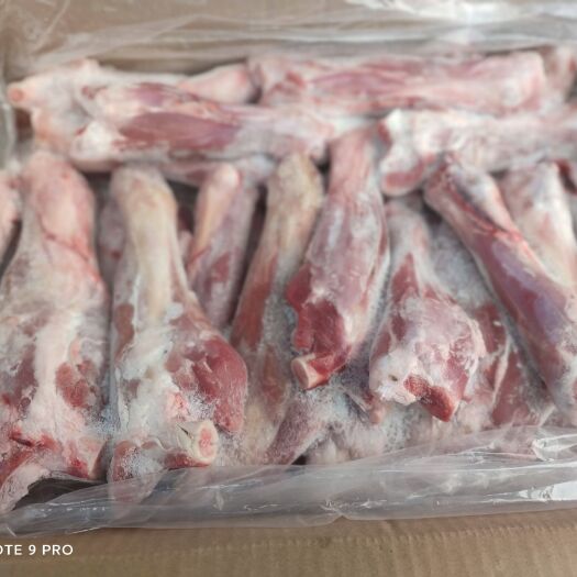 郑州羊骨 羊前腱