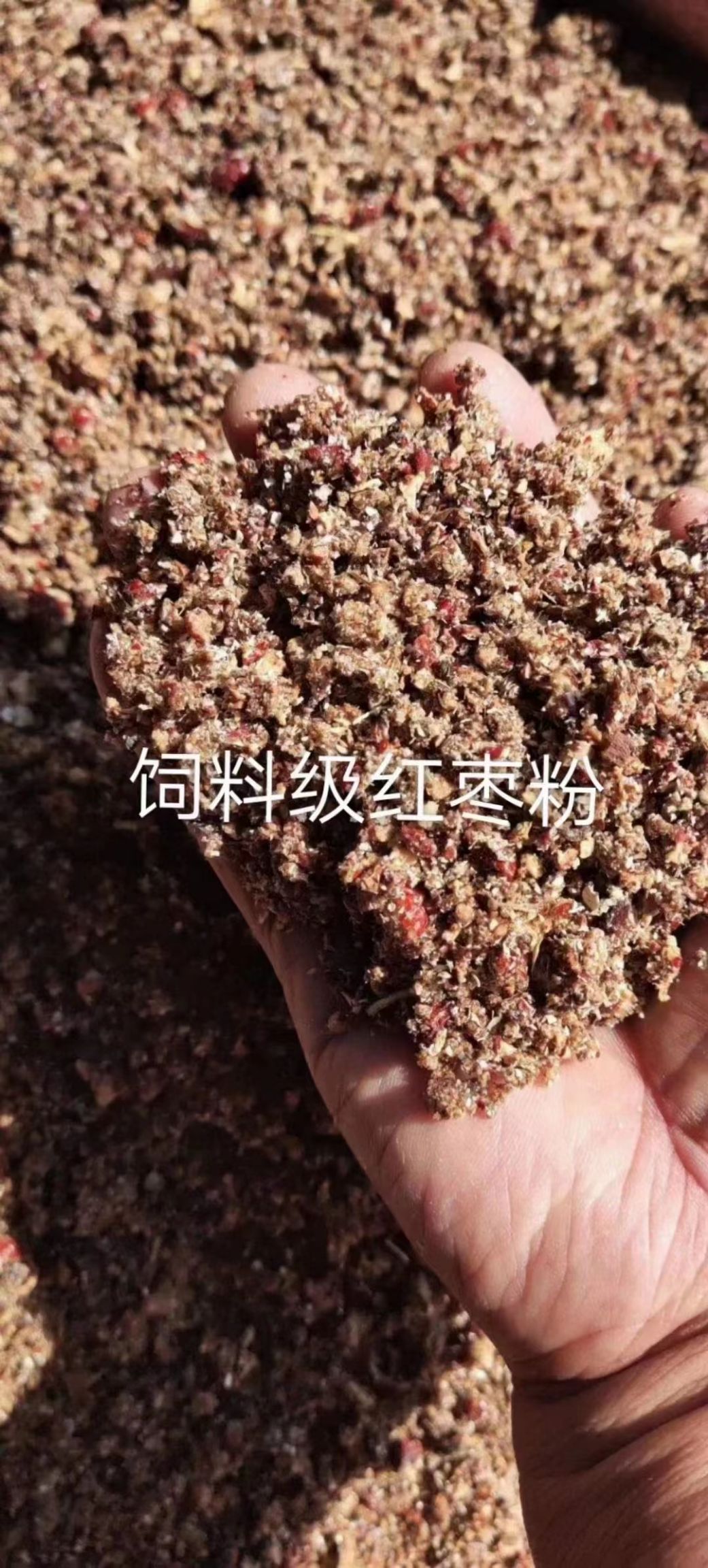 蛋白质补充饲料  饲料枣粉