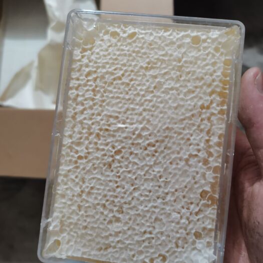 邢台 荆条蜂巢蜜