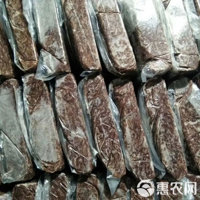  纯牛粪蚯蚓，活体蚯蚓，饲料蚯蚓，药厂蚯蚓