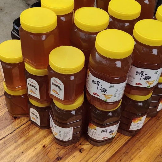 盘州市土蜂蜜  贵州特产土蜂