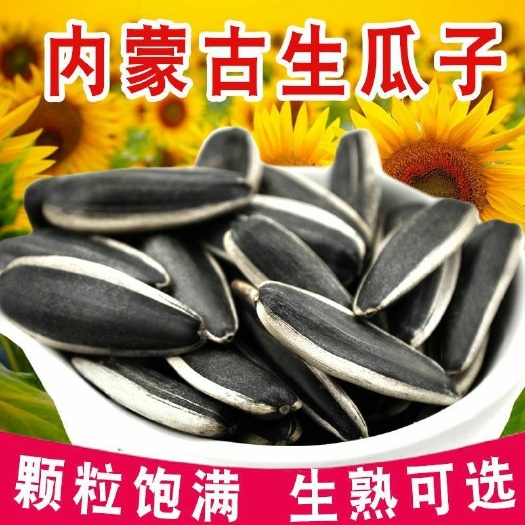 内蒙特产葵瓜子 炒货店专用361大颗粒生瓜子 601 363