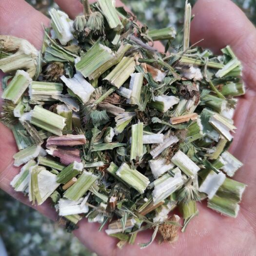 安国市益母草  正品干货   新货   散装   包邮