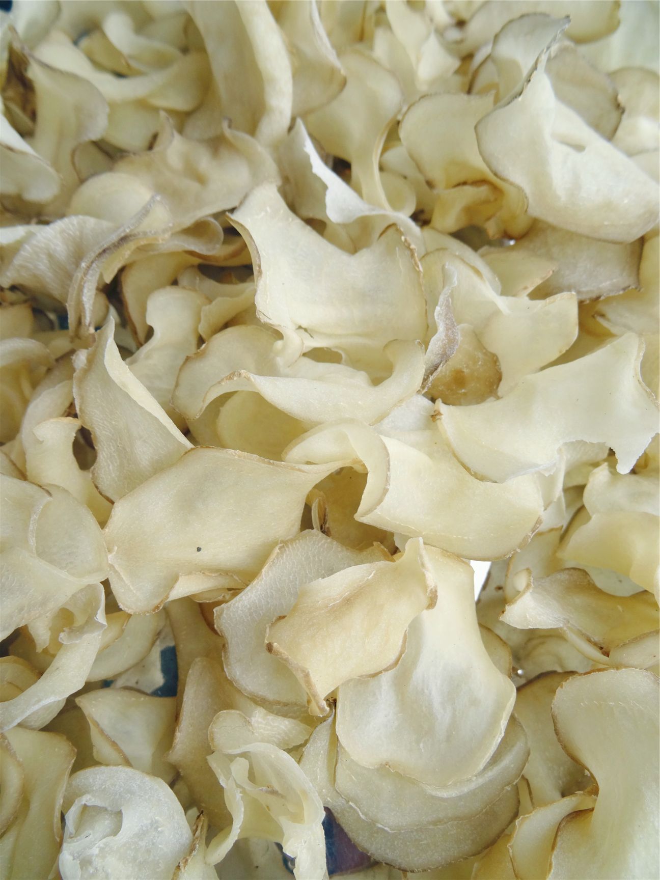 干土豆  21年新土豆干片洋芋片马铃薯干片
