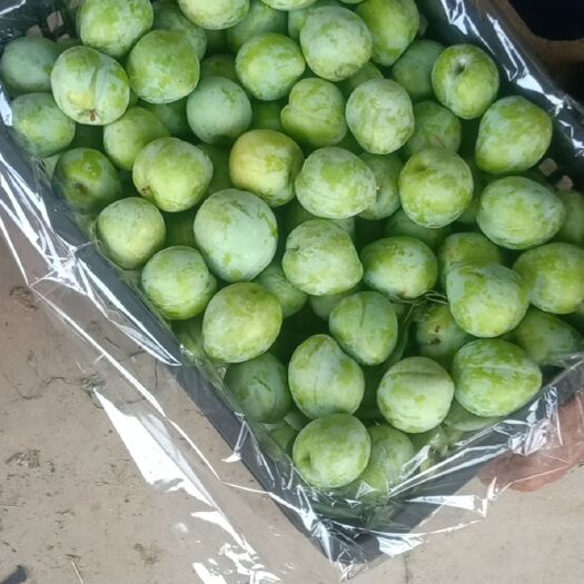 灌阳县奈李 应季水果，清凉解暑。皮薄肉厚。