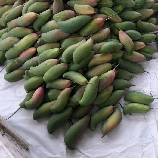 攀枝花本地象牙芒果 口感甜 果肉细腻 产地直供 一手货源
