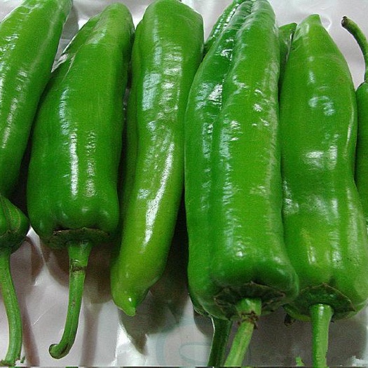 亳州 青椒，辣椒，大青椒，现货供应。