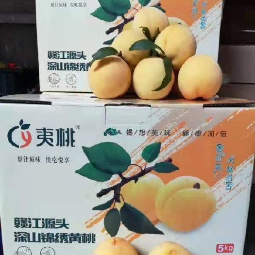 石城县锦绣黄桃普通包装