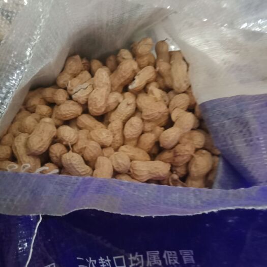 宜阳县白沙花生  九朝古都洛阳本地花生