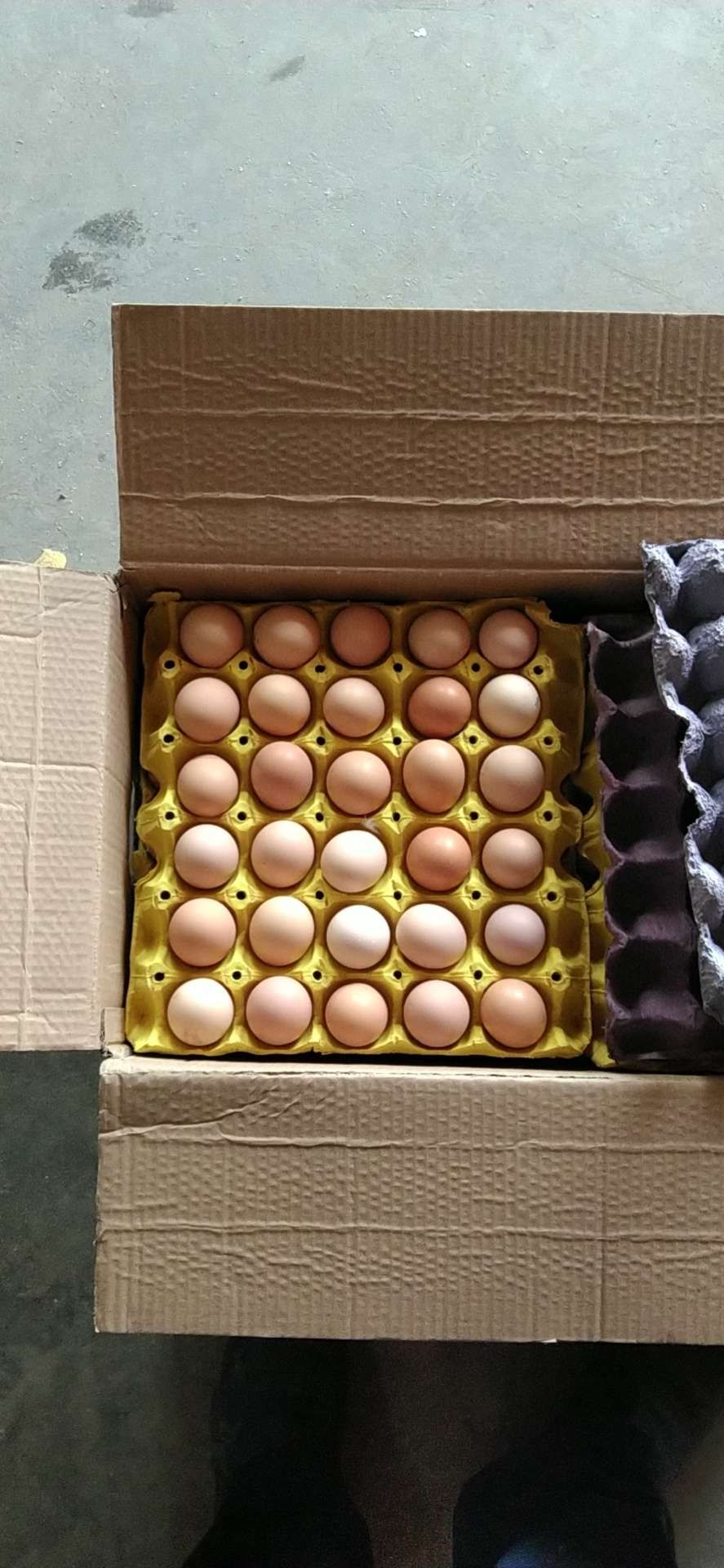  各种规格的土鸡蛋，土鸡