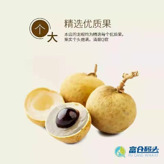 文昌市批发龙眼