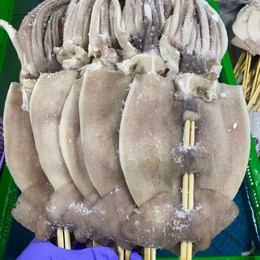 连云港大个鱿鱼串，鱿鱼须，烧烤鱿鱼，大鱿鱼，烧烤串
