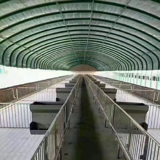 天津 专业承建种植养殖大棚全国发货安装