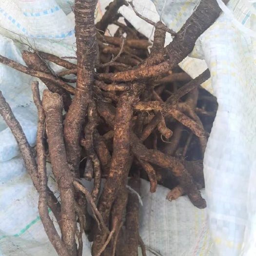 绥芬河市 俄罗斯防风