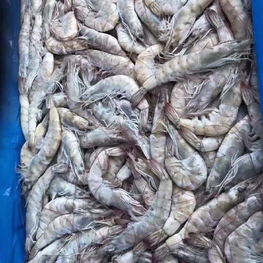 北京南美白对虾 大量冻虾到货
