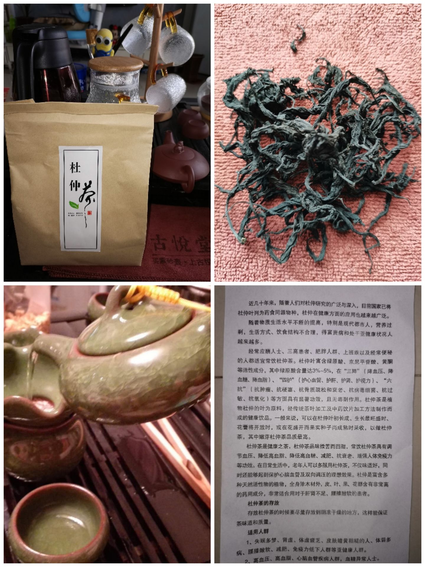 杜仲树   米径2公分（1.8公分起步）杜仲苗