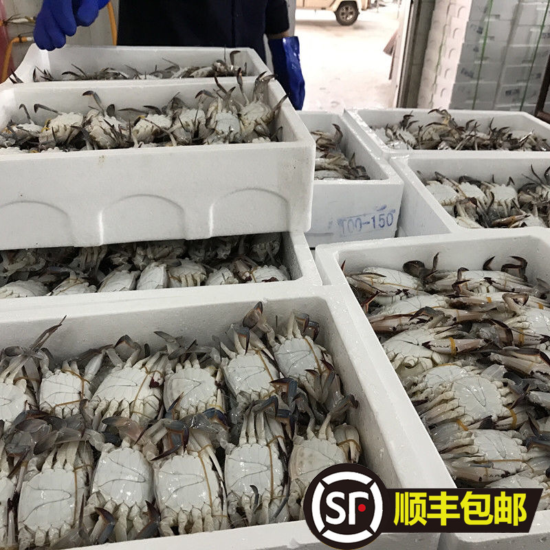 大闸蟹 整箱10斤顺丰包邮!6-9两/只 新鲜鲜活速冻大螃蟹冰冻