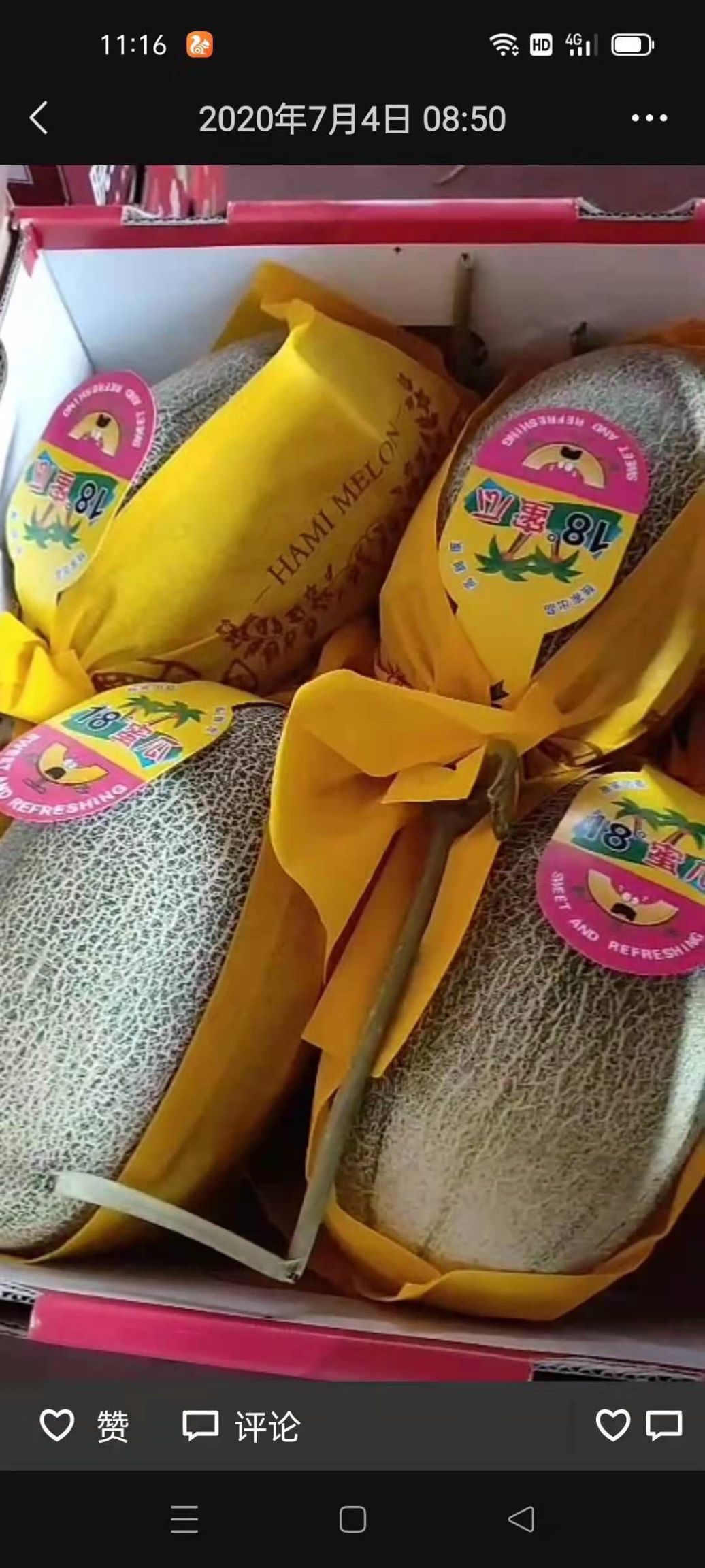 西州蜜  哈密瓜西周密小蜜产地直供电商超市社区团购市场批发