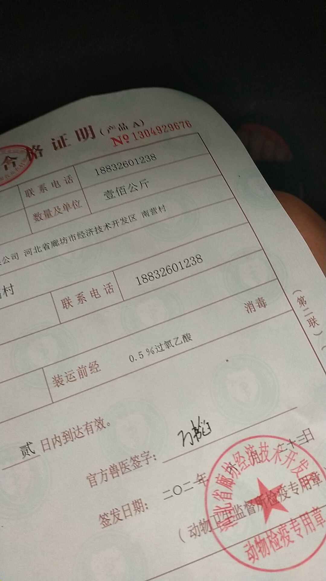 新鲜的羔羊排每天都有
