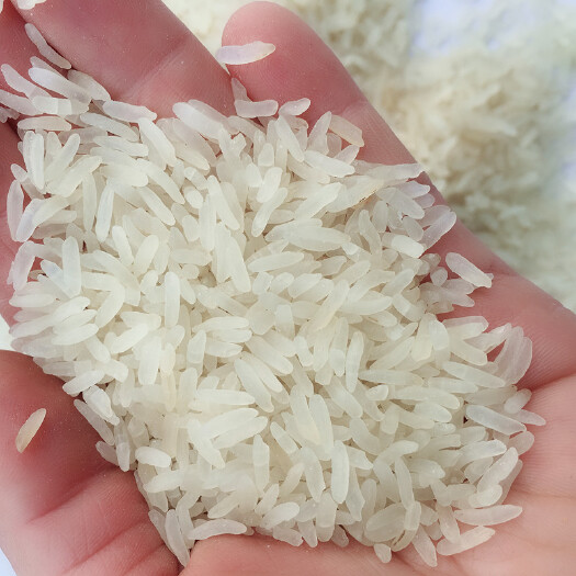 广州 广州增城农家自种香米，吃起来有米香味，煮饭熬粥一流