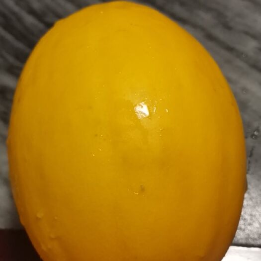 南宁黄金蜜瓜 桂蜜12.号 甜瓜 大量出售 超甜