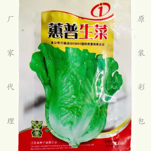 湘乡市 生菜种子 半结球生菜种子