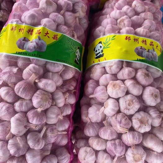 邳州市红皮蒜 大蒜