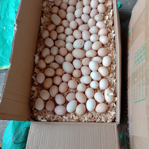 柳州土鸡蛋 食用 箱装 
