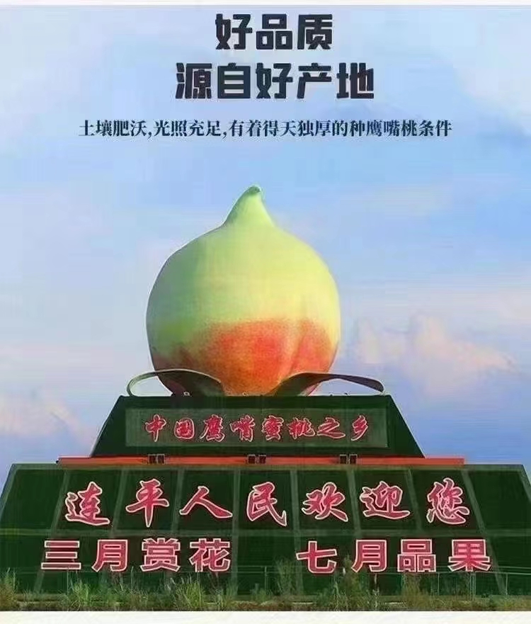 鹰嘴蜜桃  广东地标上坪鹰嘴桃 省内顺丰包邮 当季鲜果 蜜桃