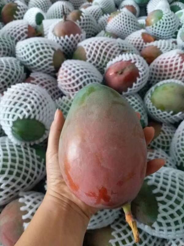 凯特芒，产地一件代发，落地配