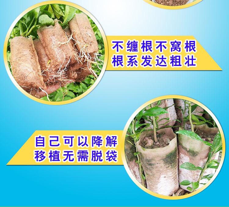 育苗袋/育苗杯/容器袋  白色全新料可降解无纺布育苗袋免脱种植营养袋透气保湿的育苗容器