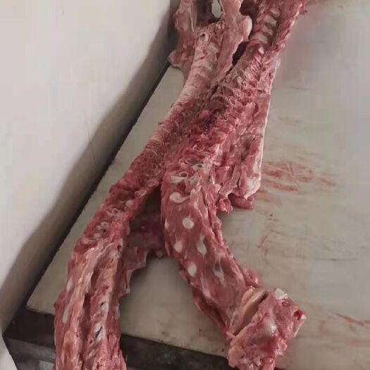 阳信县牛副产品  厂家直销精品多肉乳牛脊骨，一手货源，欢迎选购。