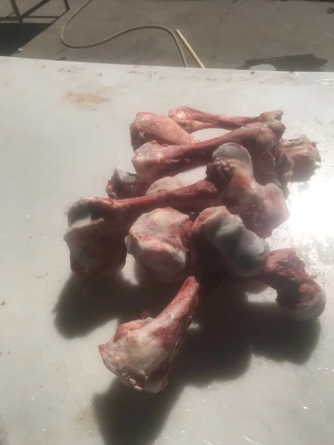 牛骨  厂家直销  乳牛棒骨，一手货源，欢迎选购。
