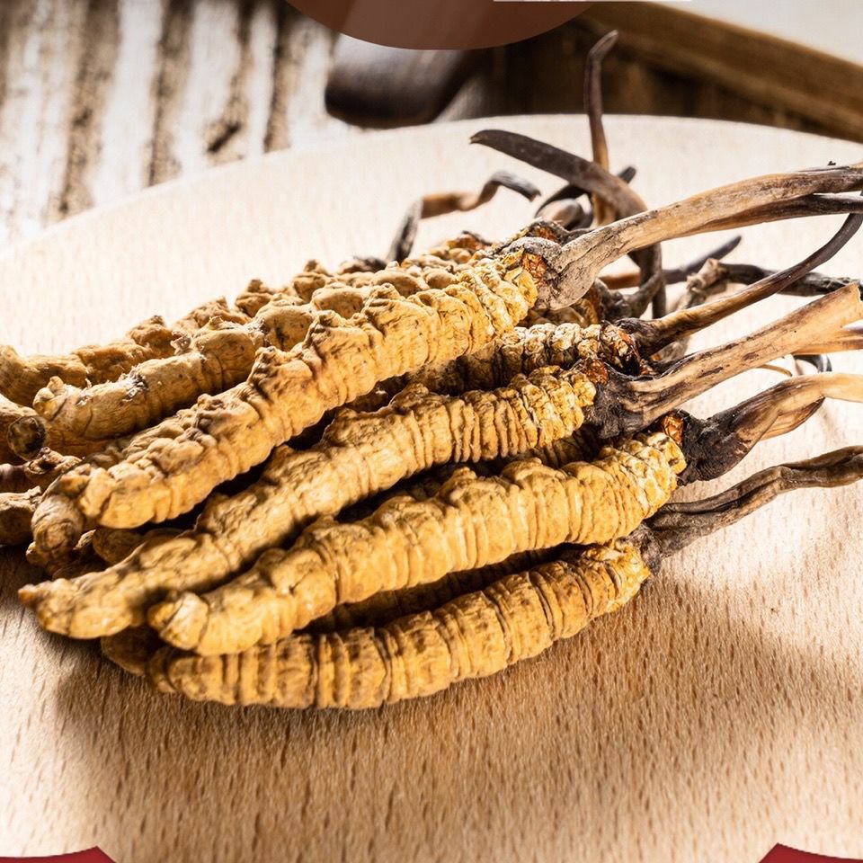 冬虫夏草  【整草特促】虫草头期虫草干虫草1克3根滋补养