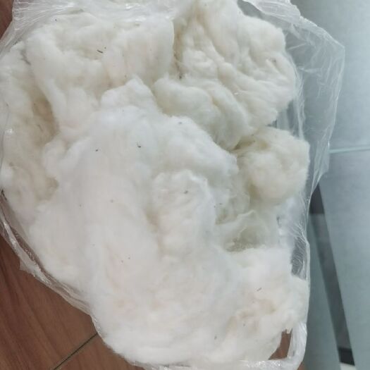 青岛棉花  售人民币现货:印度棉1063吨、巴西棉843吨。