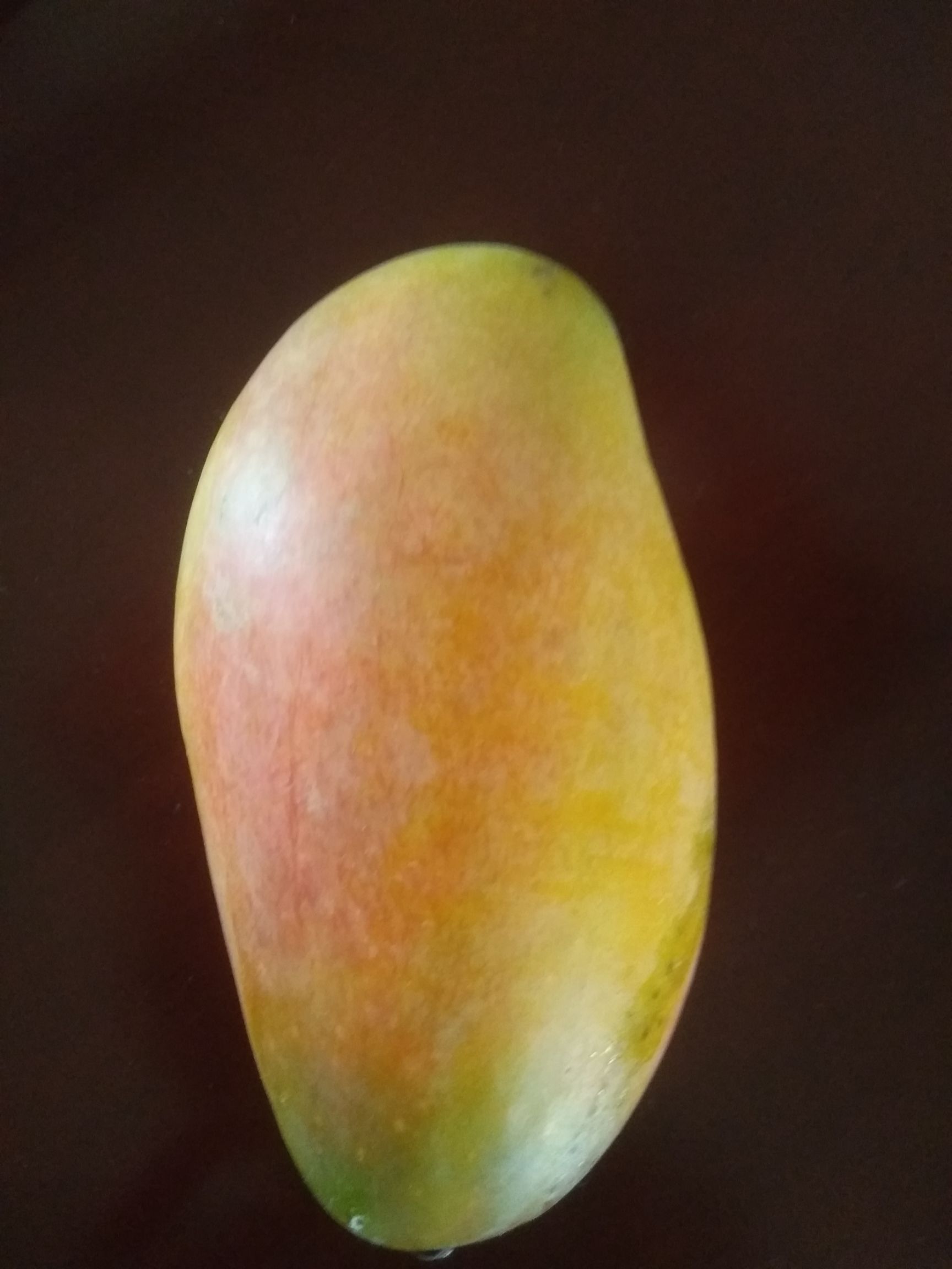 贵妃芒  攀枝花大贵妃精品果，果园直供，2023年果子已售空