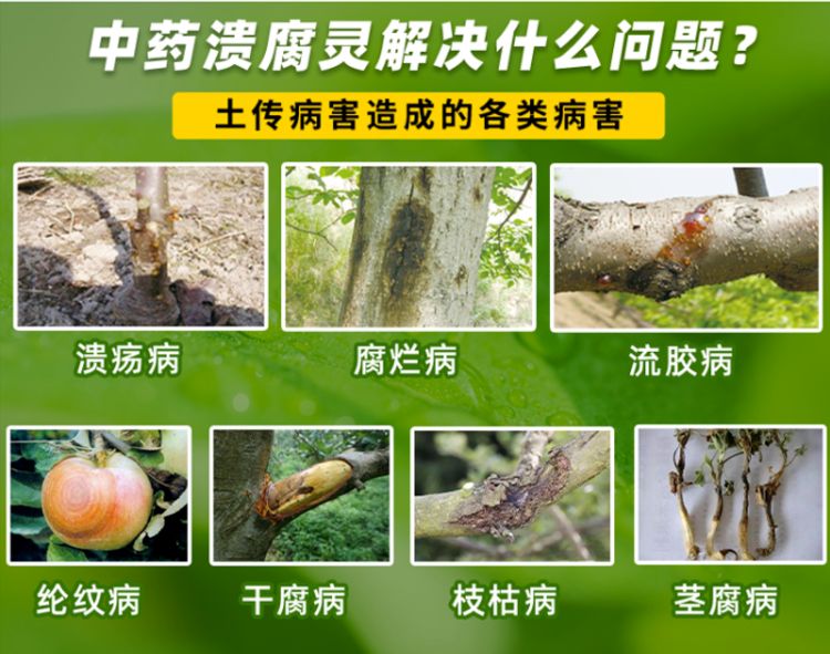 叶面肥  纯中药制剂 溃腐灵 流胶病溃疡病腐烂病