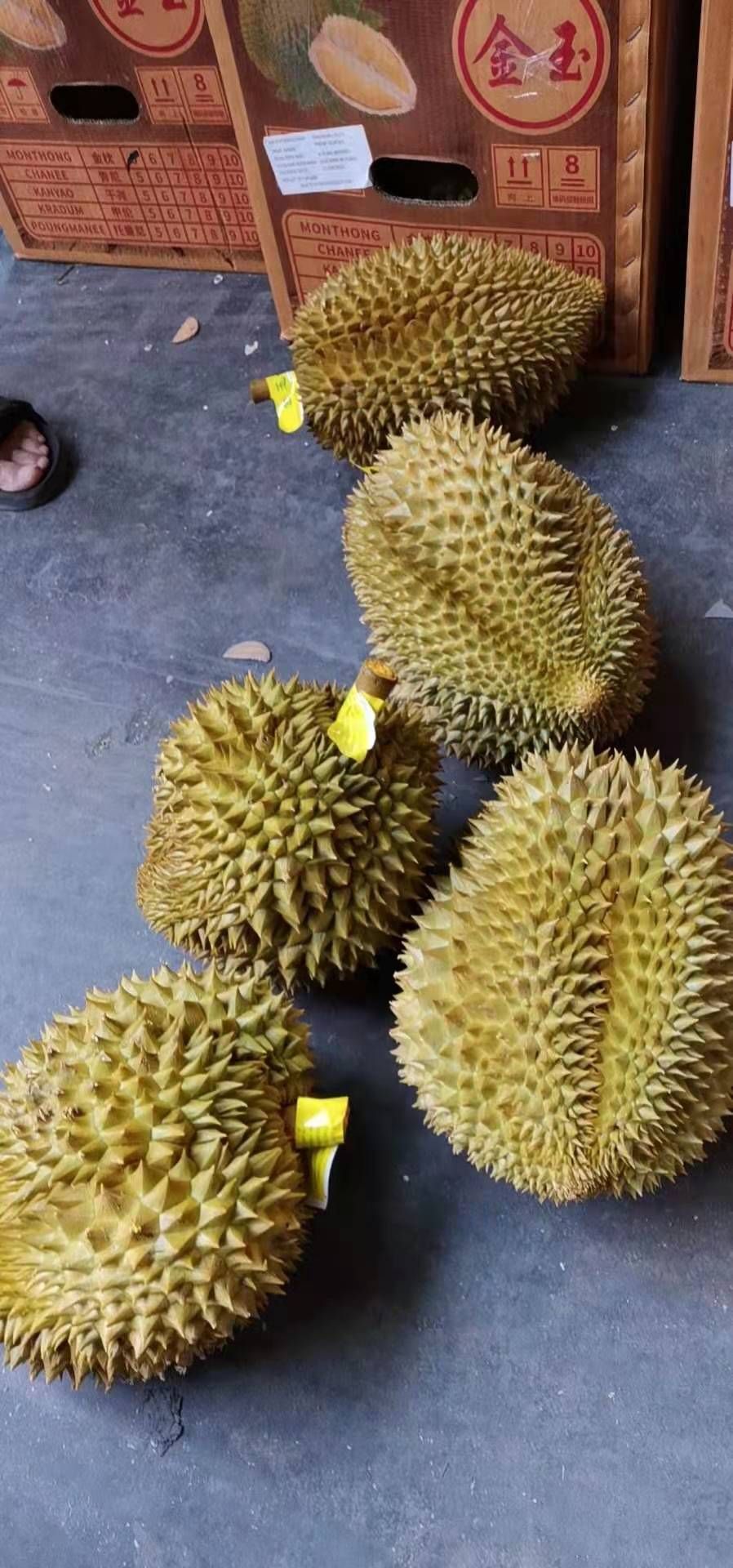  金枕榴莲，32斤净重，果型方正，大小均匀，有需要的抓紧联系我