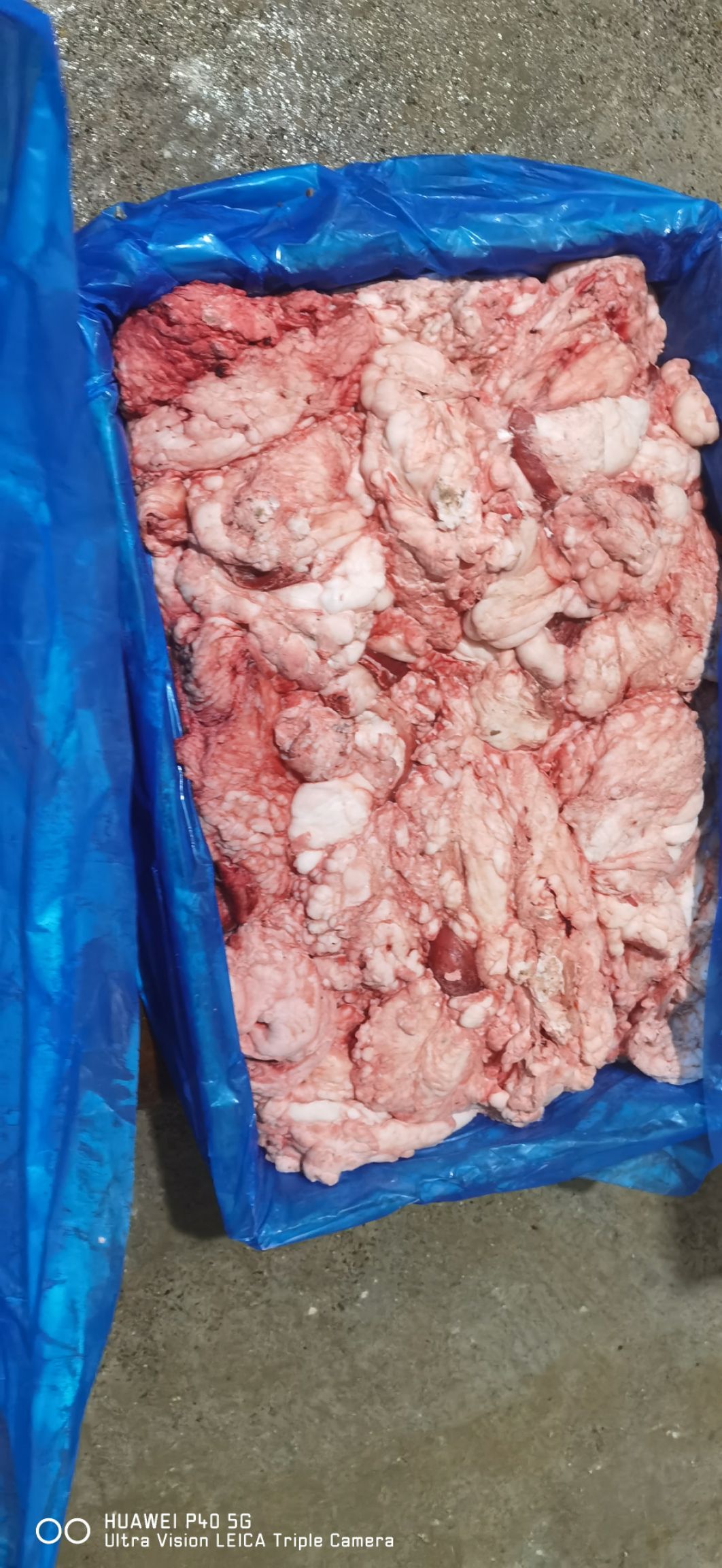 牛油  牛踹油量大来我们这边是屠宰场不是中间商。