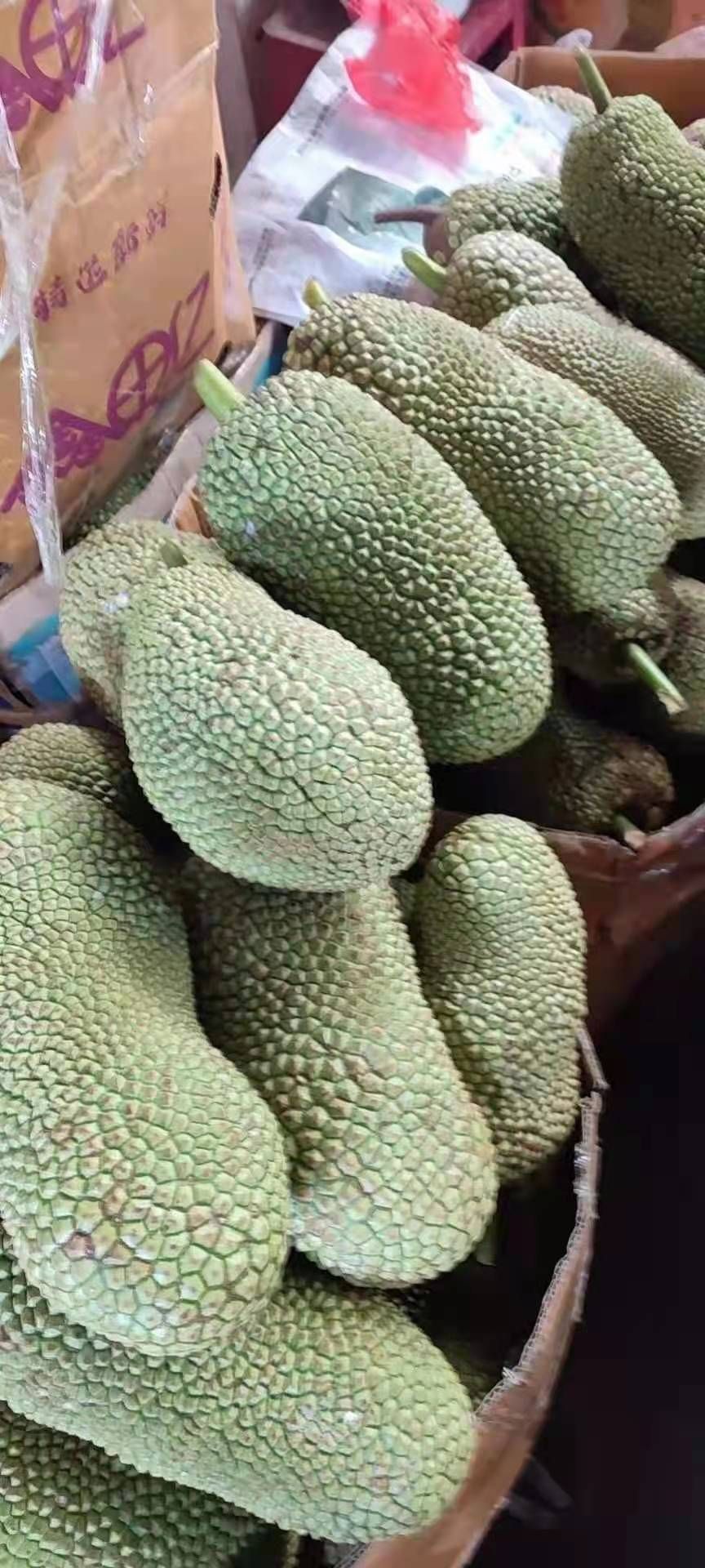 越南榴莲蜜，果型大小均匀，有需要的抓紧联系我